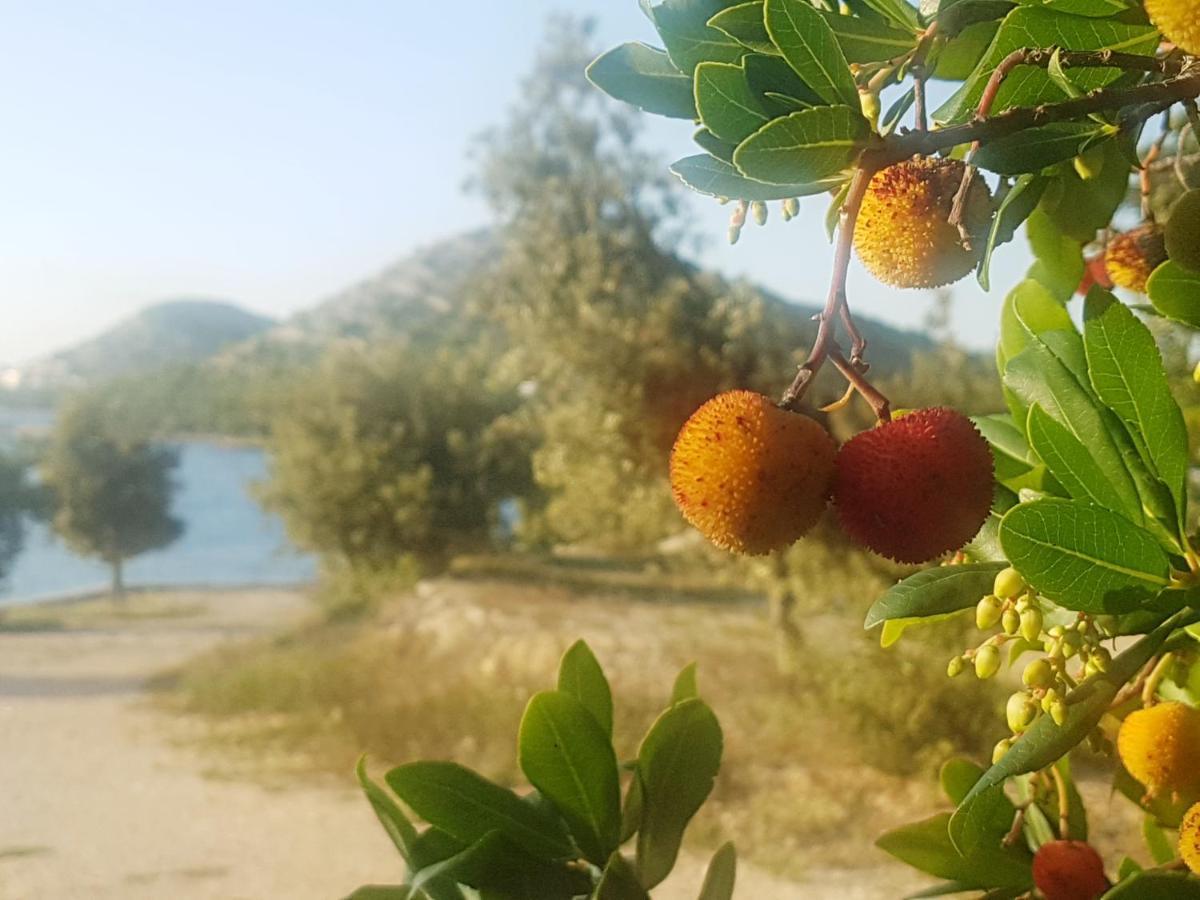 Eden Lady Mobile Home, Croatia, Drage Ngoại thất bức ảnh