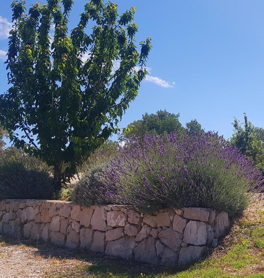 Eden Lady Mobile Home, Croatia, Drage Ngoại thất bức ảnh