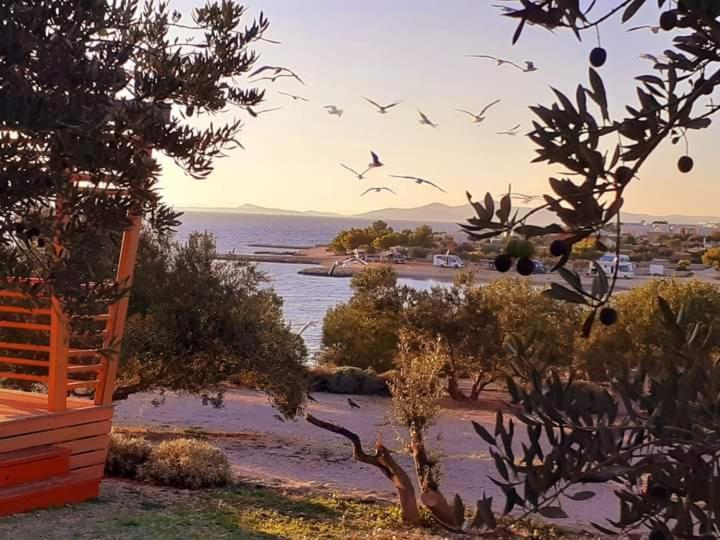 Eden Lady Mobile Home, Croatia, Drage Ngoại thất bức ảnh