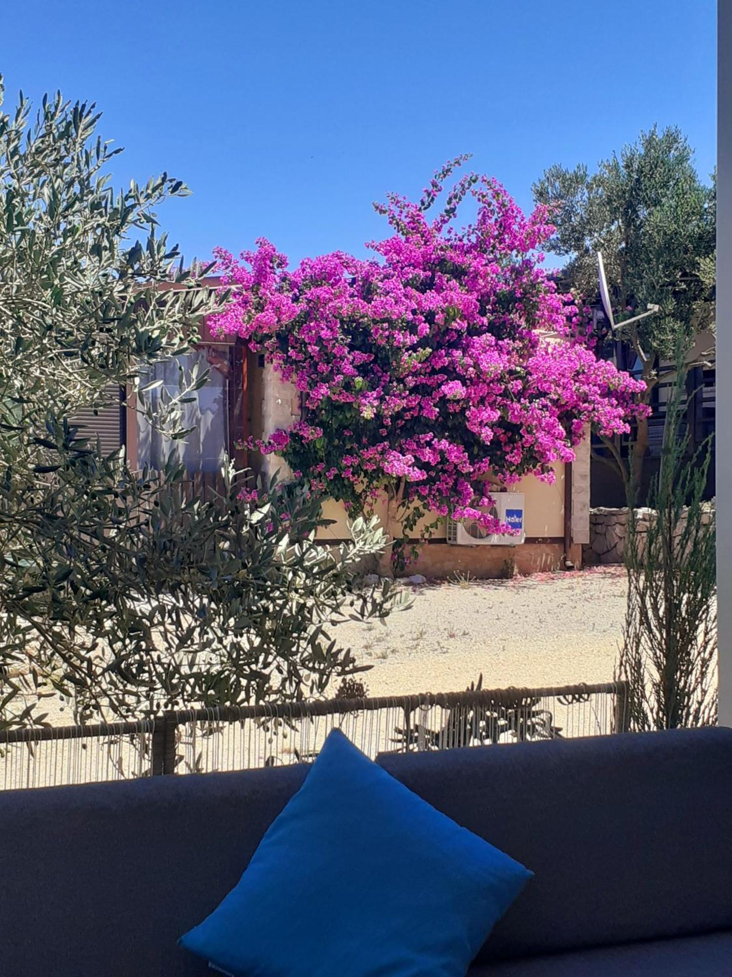 Eden Lady Mobile Home, Croatia, Drage Ngoại thất bức ảnh